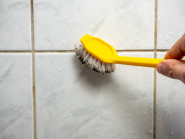 Best Mold Removal Company Near Me  in Tazewell, VA