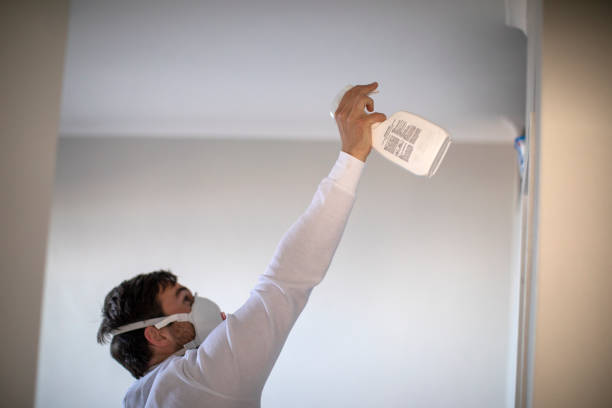 Best Mold Removal Company Near Me  in Tazewell, VA
