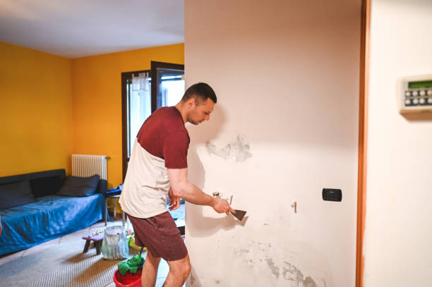 Best Mold Removal and Inspection  in Tazewell, VA
